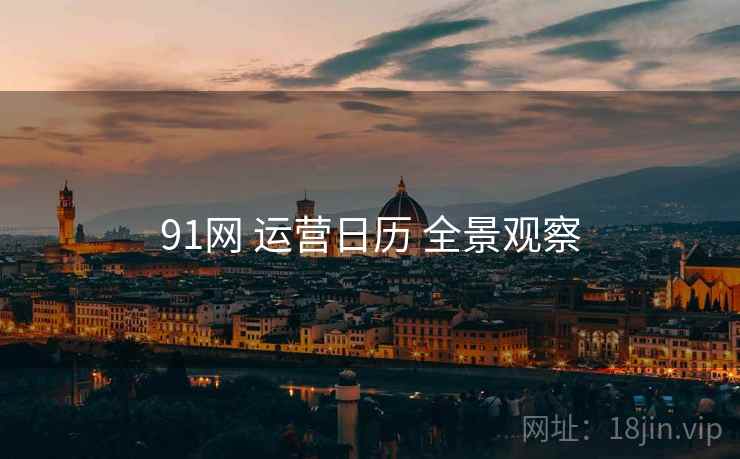 91网 运营日历 全景观察