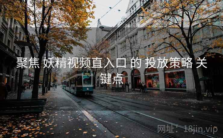 聚焦 妖精视频直入口 的 投放策略 关键点