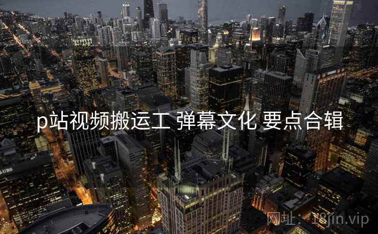 p站视频搬运工 弹幕文化 要点合辑