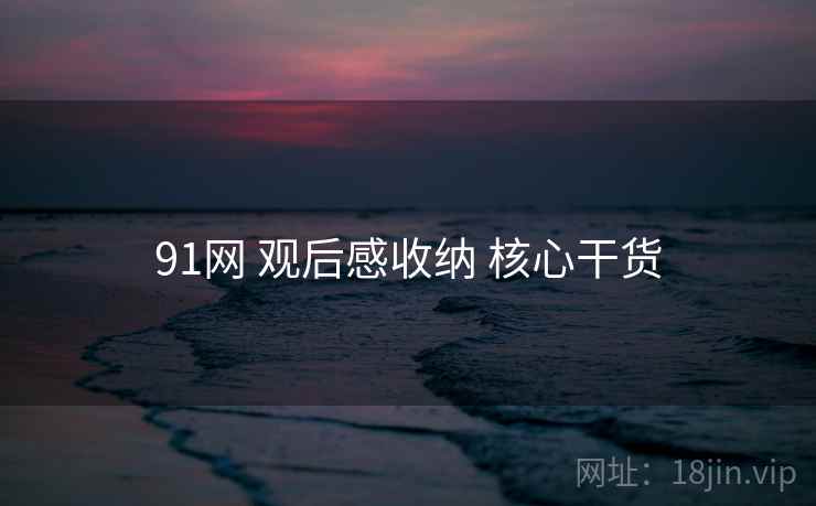 91网 观后感收纳 核心干货