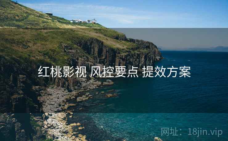 红桃影视 风控要点 提效方案