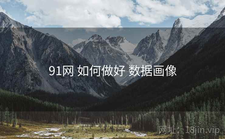 91网 如何做好 数据画像
