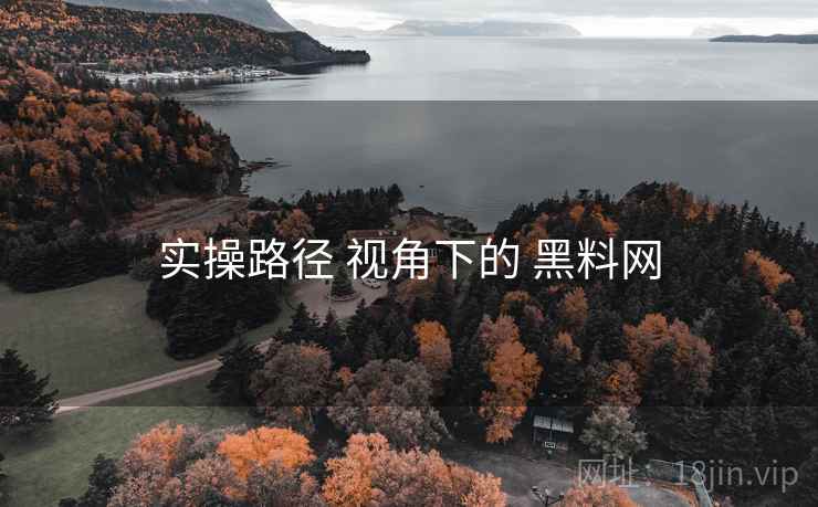 实操路径 视角下的 黑料网