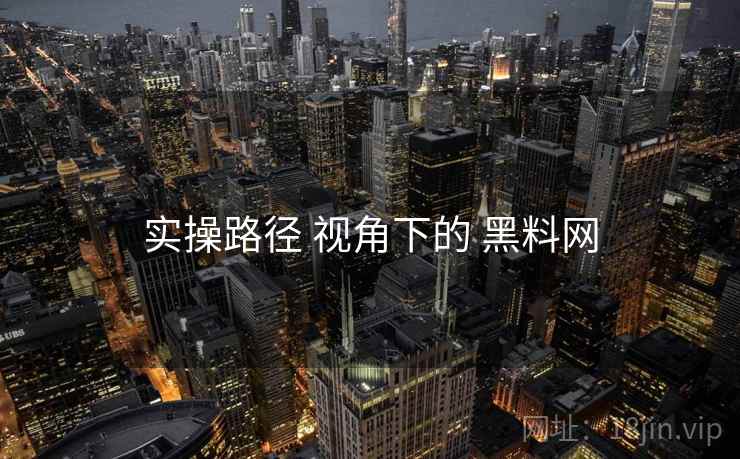 实操路径 视角下的 黑料网