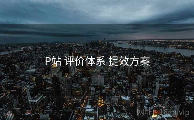 P站 评价体系 提效方案 P站 评价体系 提效方案