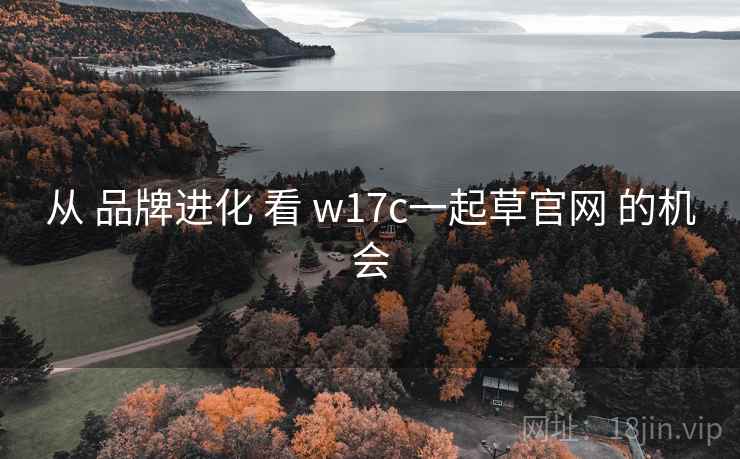 从 品牌进化 看 w17c一起草官网 的机会 从 品牌进化 看 w17c一起草官网 的机会